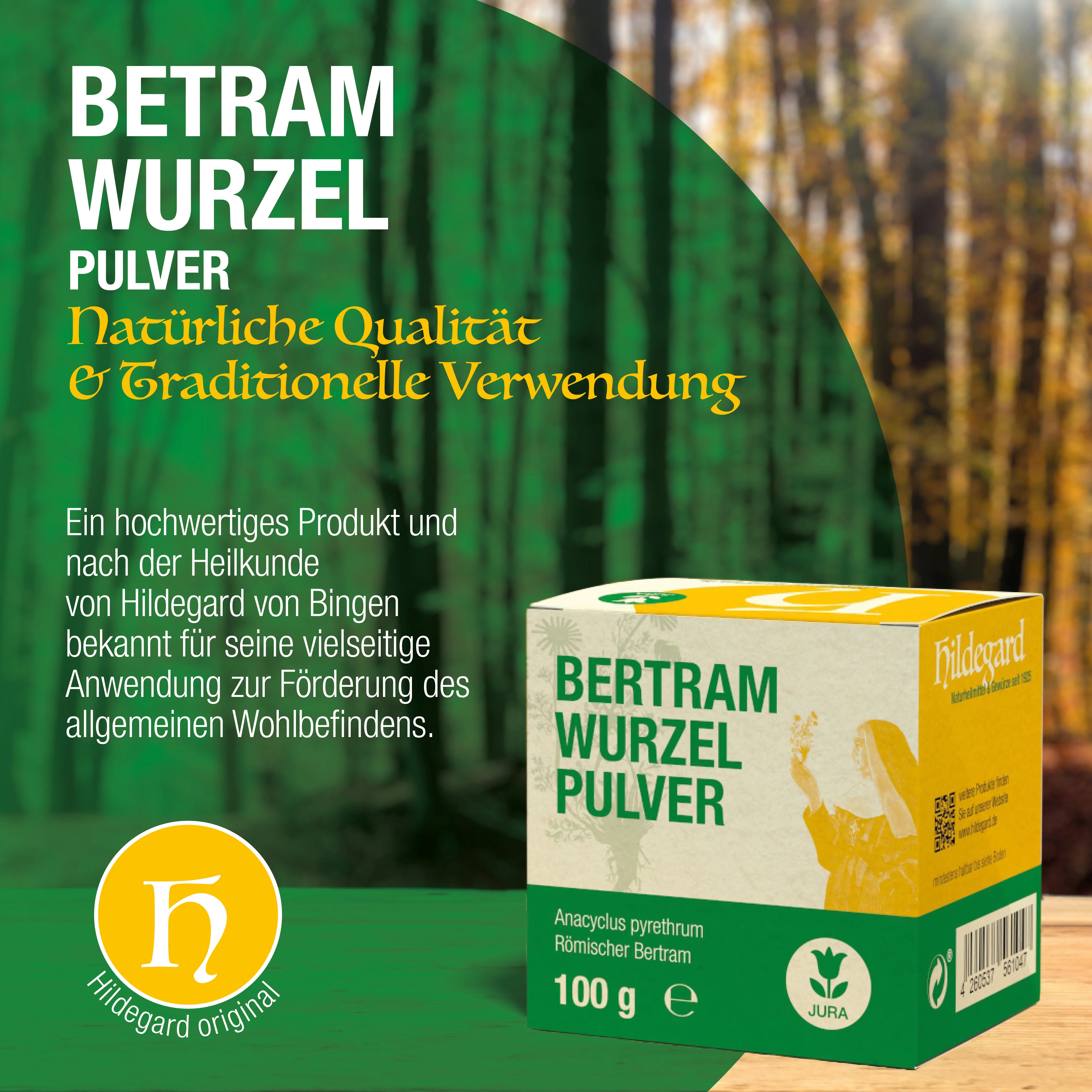 Vorschaubild 2